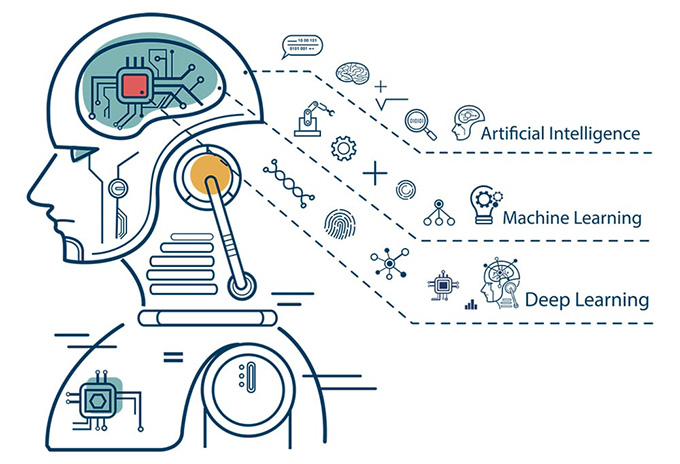 Introducing the Training Intelligence System