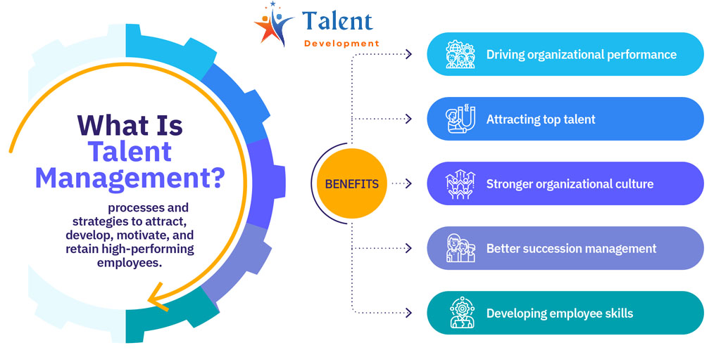 What Is a Talent Development Program?